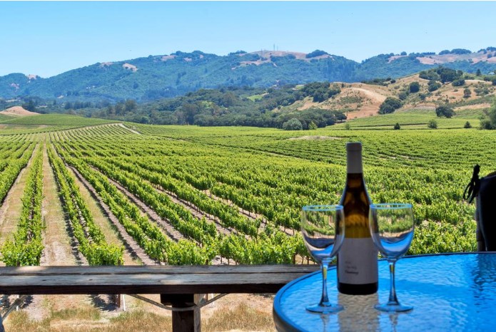 Pays viticole, Californie